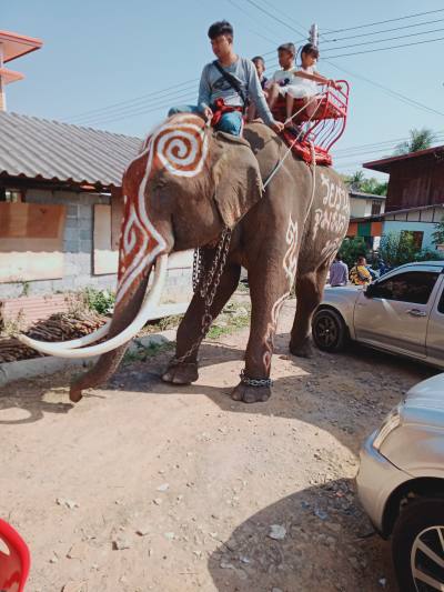 Aof 29 Jahre Aof Thailand