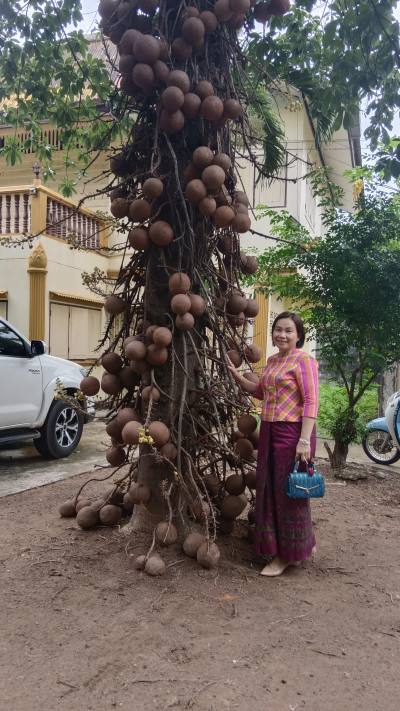 Soy 48 ans เมือง Thaïlande