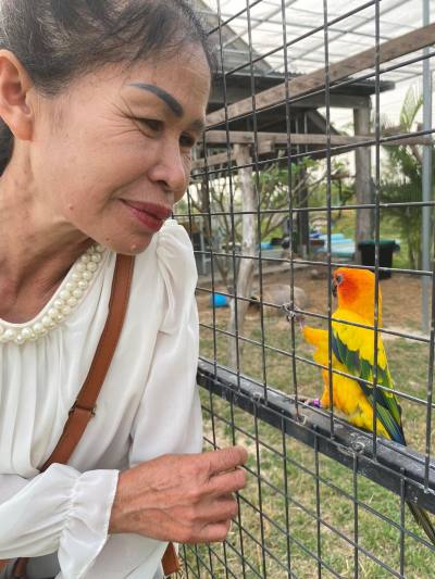 Ratree 55 ans Yangtalad Thaïlande